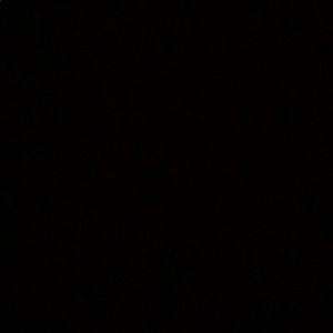 Meet your Posher, Delanee